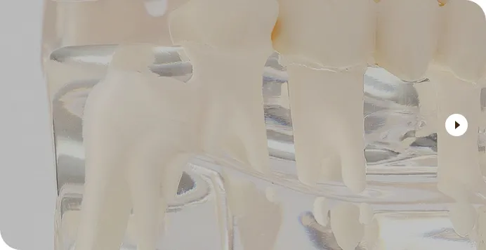 親知らず